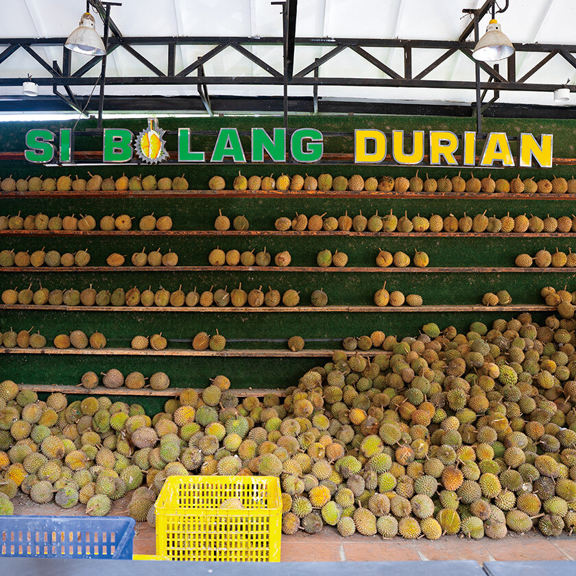 ドリアン（東南アジアの「夏の味覚」）｜IDEABOOK / 親睦のアイデア帳