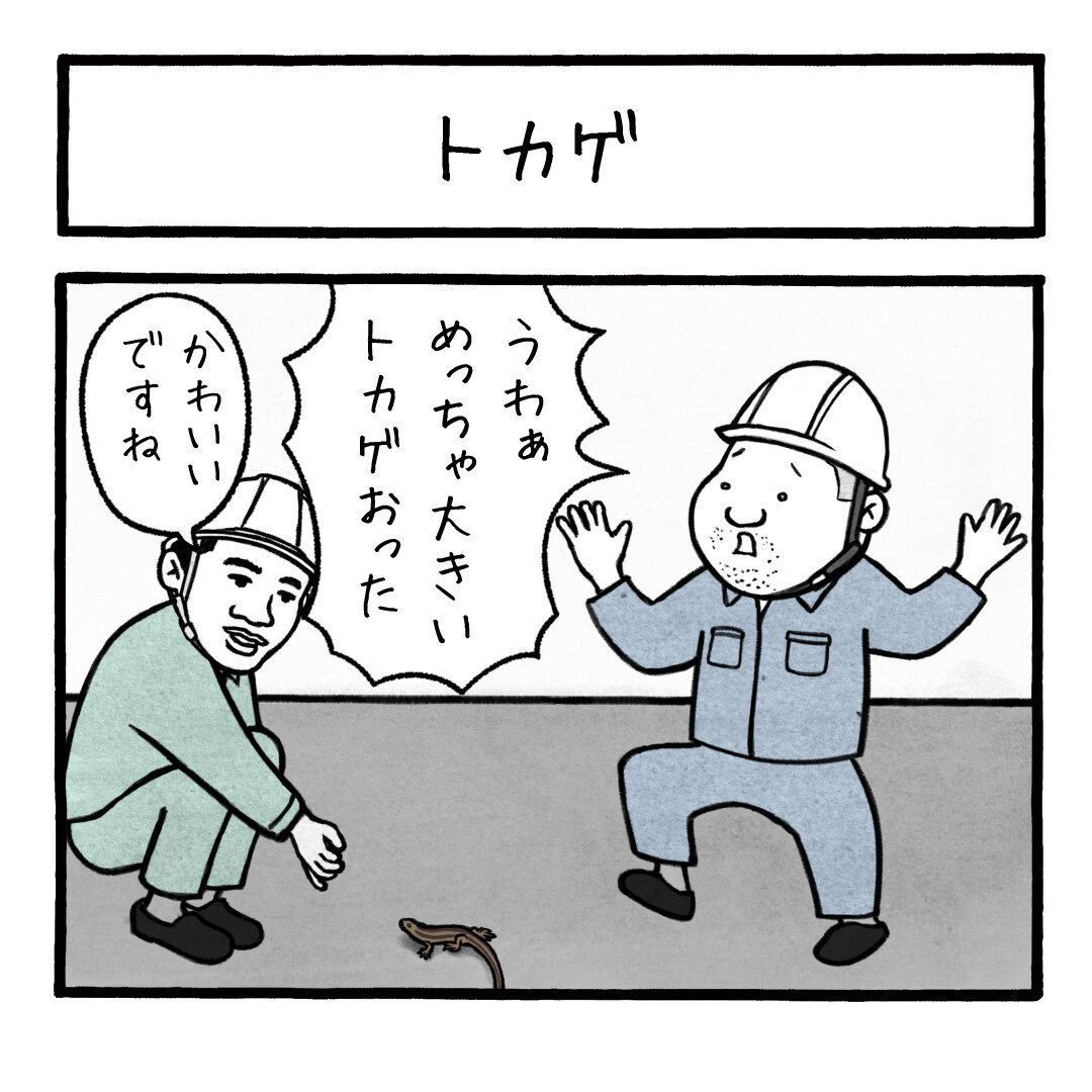 トカゲ